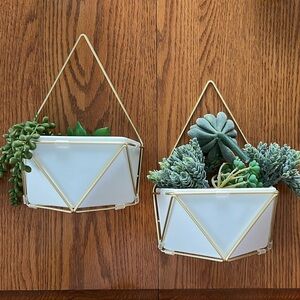 Wall Planters
